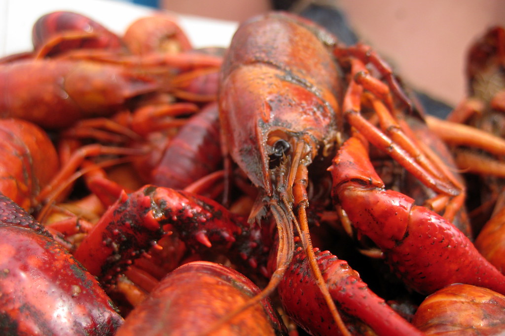 A finished plate of crawfish in Lake Charles, Louisiana