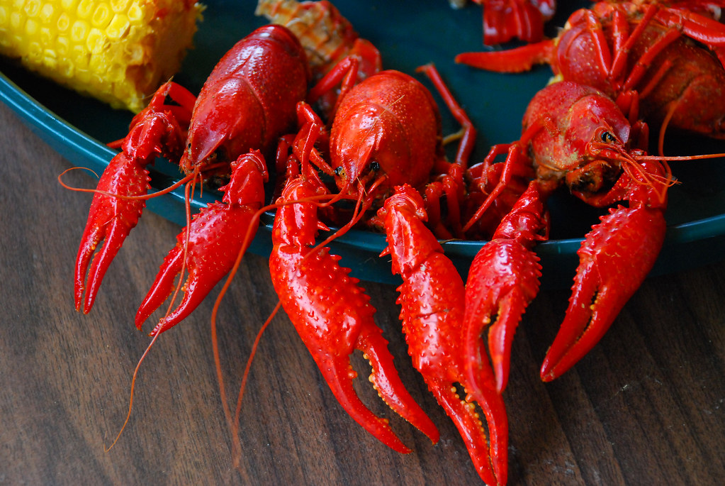 A finished plate of crawfish in Lake Charles, Louisiana